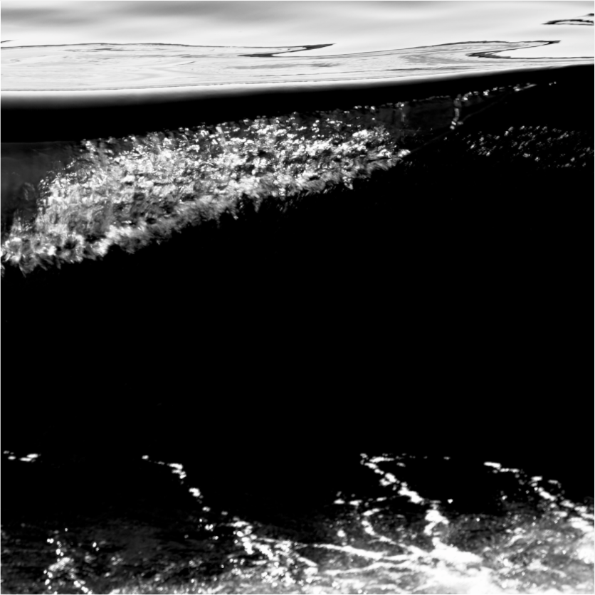 Main image Reporter sans Frontières