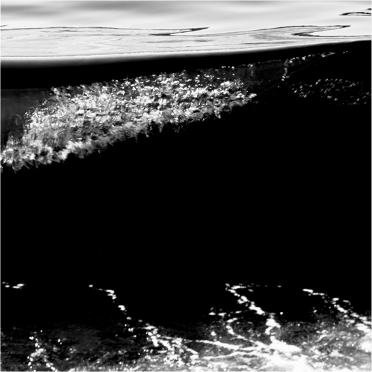 Main image Reporter sans Frontières